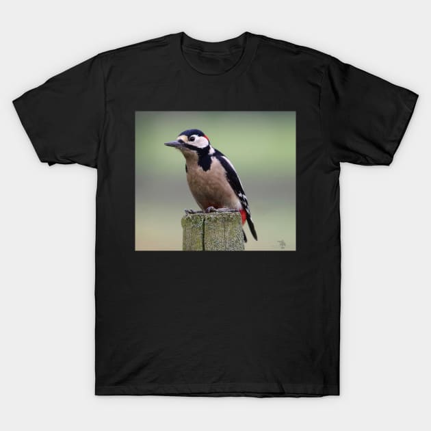 Great spotted woodpecker T-Shirt by Simon-dell